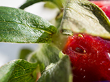 Macro de una fresa