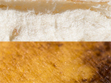 Macro de dos texturas de un plátano.