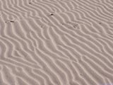 Arena de playa