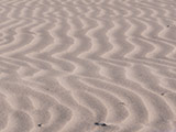 Arena de playa