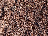 <a href="http://www.wanderstudios.com/javialedo/texturas-videos/tierra_volcanica1.jpg" target="_blank">Descargar high-res</a>